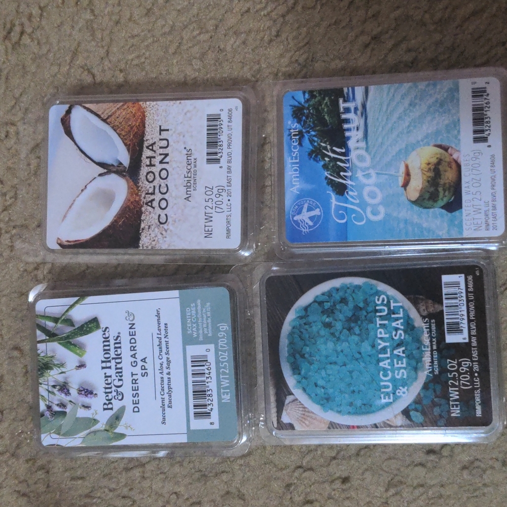 4 Wax Melts
